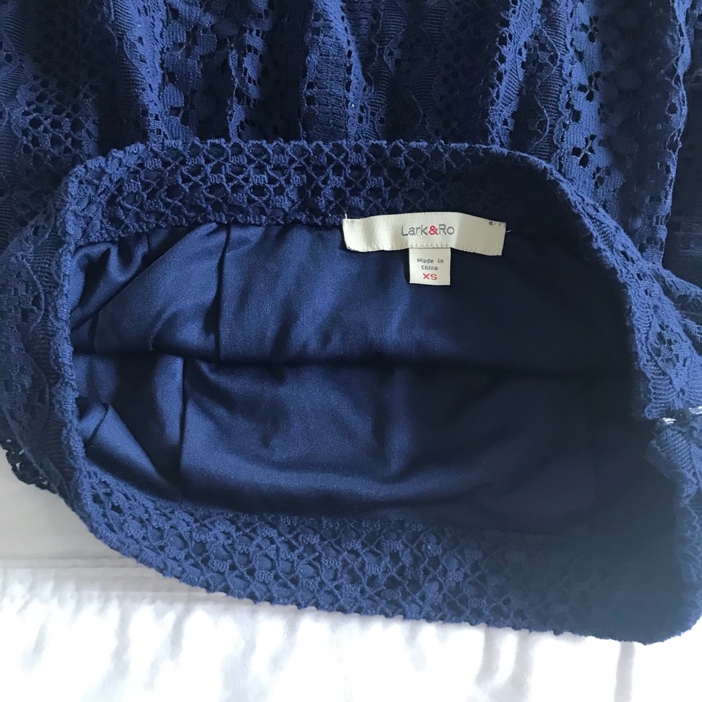 Lark & Ro Blue Lace Knee Length Skirt XS